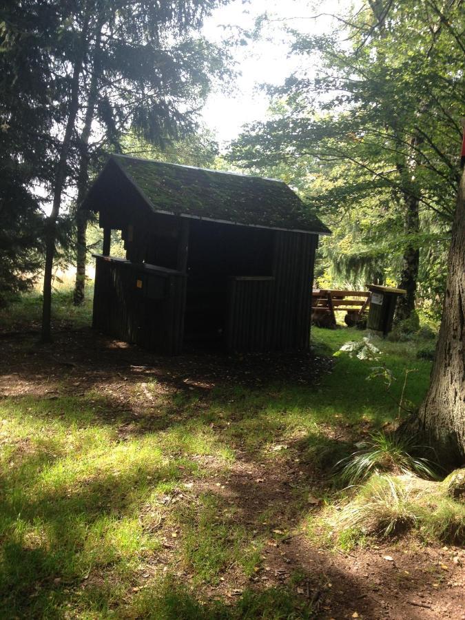 Ferienwohnung "Rodelnde Geiss" Mit Schwimmbad Braunlage Eksteriør bilde